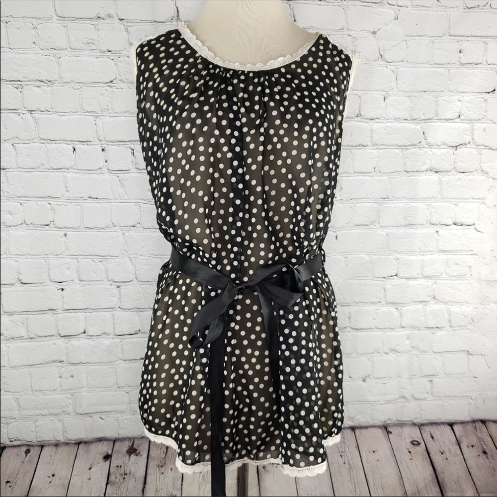 Lavish Sheer Polka Dot Lace Top